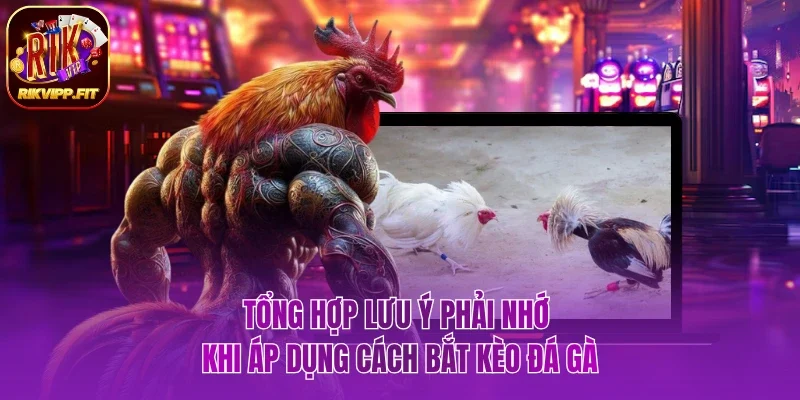 Chia sẻ các lưu ý phải nhớ khi áp dụng cách bắt kèo đá gà
